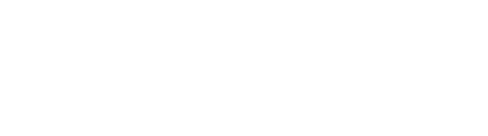 Ant Power Li-Ion Battery